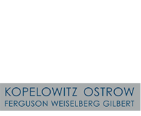 The kopelowitz ostrow firm, p.a.