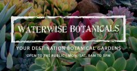 Waterwise botanicals
