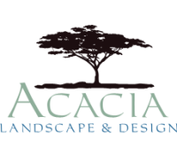 Acacia landscape and design