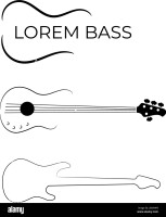 Bass guitar player / bass guitar teacher