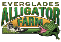 Everglades alligator farm