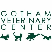 Gotham veterinary center