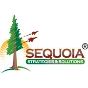 Sequoia strategies & solutions
