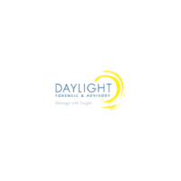 Daylight forensic & advisory llc