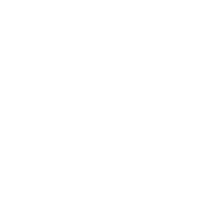The Mansion on Forsyth Park