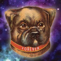 Forever dog productions