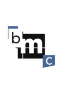 BMC Networks Inc