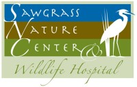 Sawgrass nature center and wildlife hospital