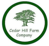 Cedar hill