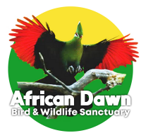 African Dawn Wildlife Sanctuary