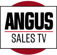 Angus media