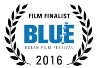 Blue ocean film festival