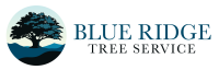 Blue ridge tree svc