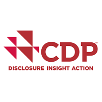 Cdp consulting