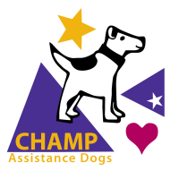 Champ assistance dogs