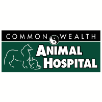 Commonwealth animal hospital charlotte