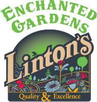 Linton's enchanted gardens
