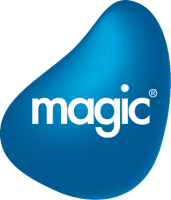 Magic software inc.