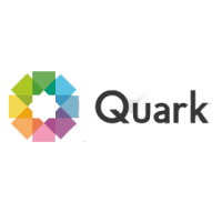 Quark partners