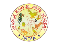 Shaolin martial arts academy