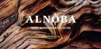 Alnoba - where inspiration meets action