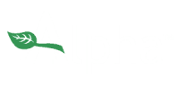 Alpha health products ltd.