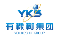 Youkeshu(shenzhen) technology company limited
