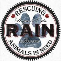 Rain Rescue - Rescuing Animals in Need