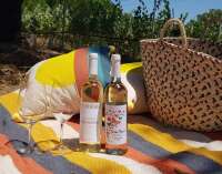 Picknick in de wijngaard