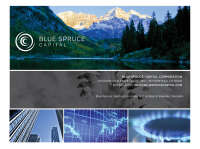 Blue spruce capital corporation