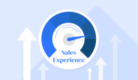 The salesexperience company