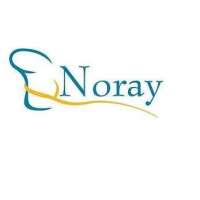 Noray consultora empresarial, s.l.