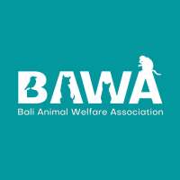 Bali animal welfare association