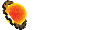 Neogeo new media gmbh