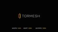 Tormesh