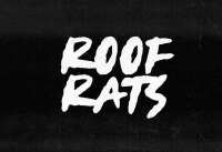 Roof rats