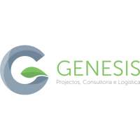 Genesis resourcing consulting company