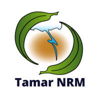 Tamar natural resource management