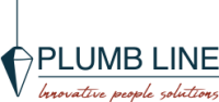 Plumb line organisation development