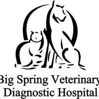 Big spring veterinary diagnostic hospital
