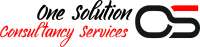 1 solution consulting, llc