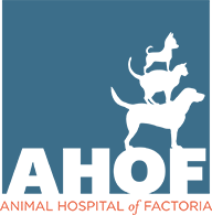 Animal hospital of factoria