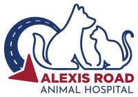 Alexis road animal hospital