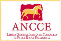 Ancce - libro genealógico del caballo de pura raza española