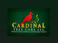Cardenal tree services