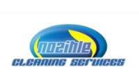 Nozihle cleaning services