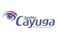 Cayuga security & investigation, inc