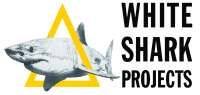 White shark projects