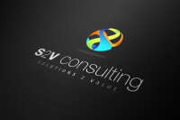 S2v consulting