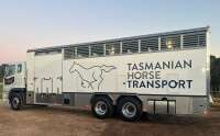 Tasmanian horse transport